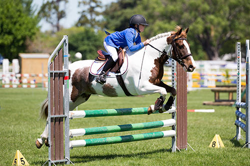 ACG-Strathallan-sport-equestrian-013.jpg