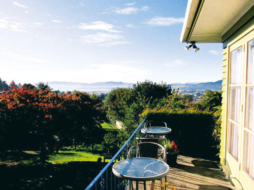 184KIWI-Racco1.jpg