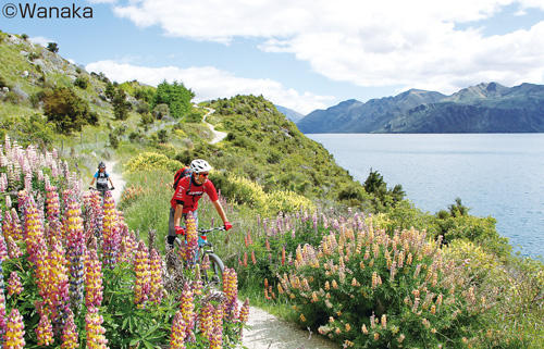 187outing_wanaka04.jpg
