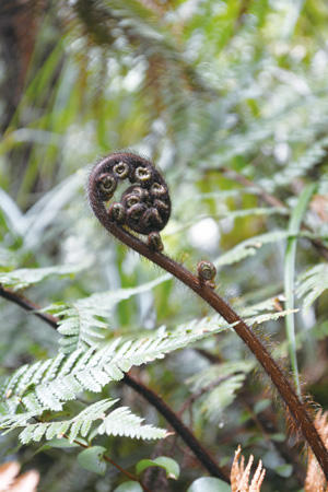 188feature_N7.jpg