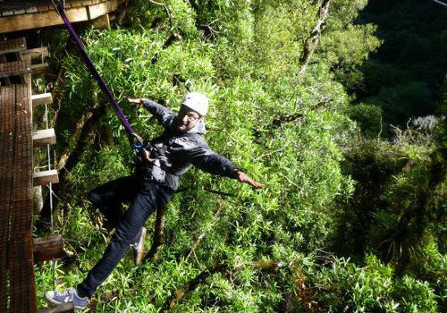 zipline.jpg
