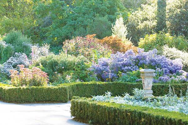 Botanic-Gardens3.jpg