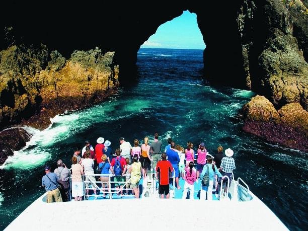 activity1bay_of_island_05-min.jpg