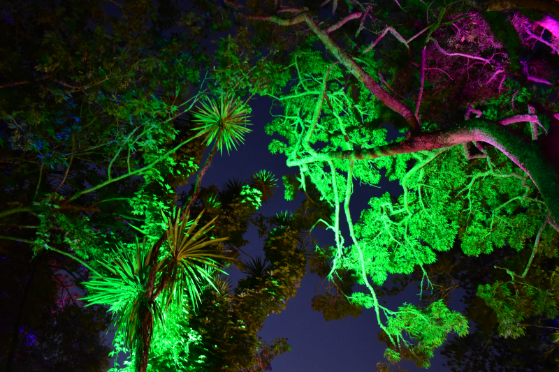 オークランド最大級のイベント「Lantern Festival」！ NZdaisuki magazine ニュージー大好きドットコム発行