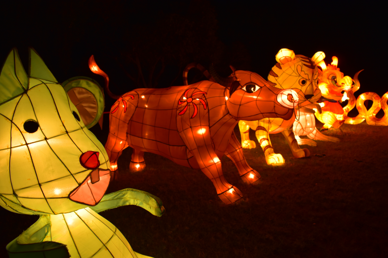 オークランド最大級のイベント「Lantern Festival」！ NZdaisuki magazine ニュージー大好きドットコム発行