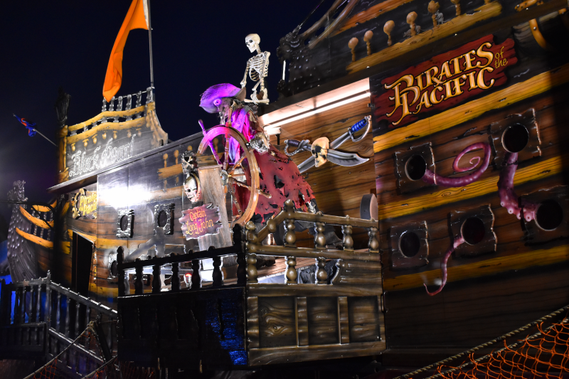 オークランド最大級のイベント「Lantern Festival」！ NZdaisuki magazine ニュージー大好きドットコム発行