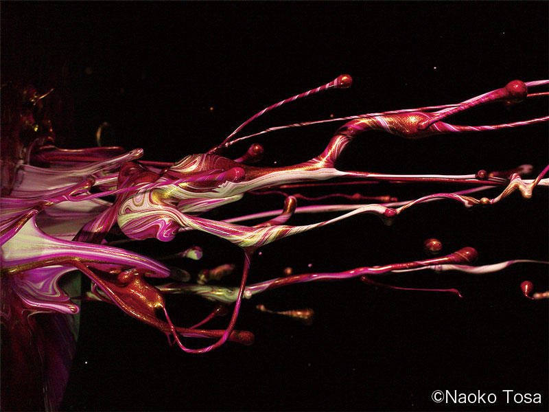 ecube181_tosanaoko_hx3-1021-N004-3big1.jpg