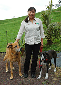 ニュージーランド・西オークランド・犬のしつけセラピスト「Bark Busters」ドッグトレーナー